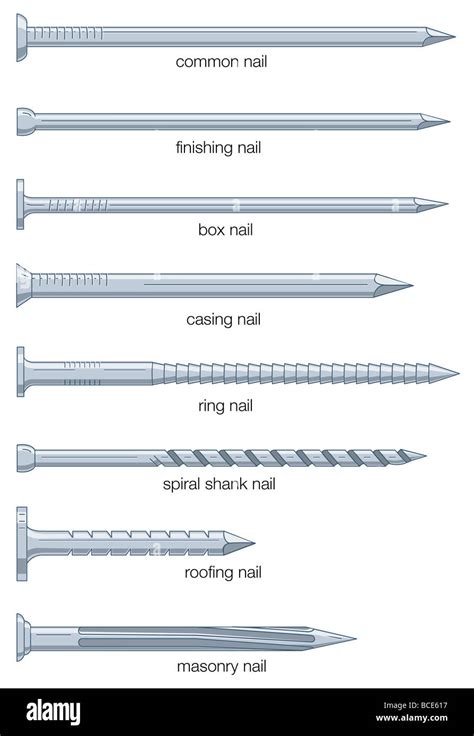 Different types of nails Stock Photo - Alamy