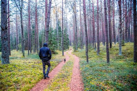 Man walking in forest stock image. Image of outdoors - 45020619