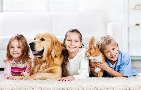 Meadowrun Affordable Pet Care – Part of the Family of Sarasota Veterinary Centers! - Meadowrun ...