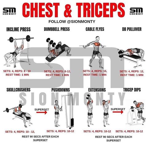 🔥Chest And Tricep Workout Routine🔥 By @sionmonty Give it a go this week ...