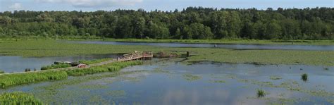 Burnaby Lake Regional Park hiking and walking trail in Burnaby, BC ...