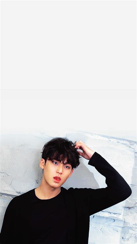 Kim Mingyu, idol, kimmingyu, kpop, seventeen, HD phone wallpaper | Peakpx