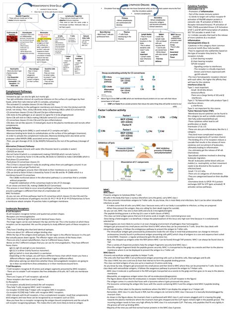 Immunology Cheat Sheet