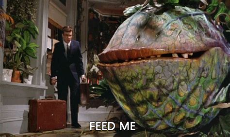 Feed Me Meme