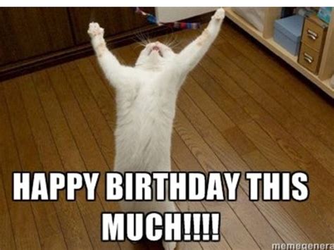 Pin by Susan Jong on Quotes | Funny happy birthday meme, Happy birthday meme, Funny birthday meme