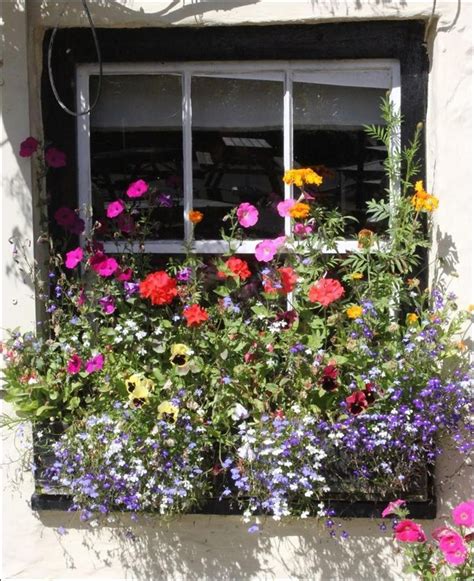 25 Most Beautiful Flowers Ideas For Window Boxes 2019 13 | Window box ...