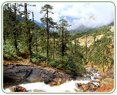 Lachung - Lachung in Sikkim, Lachung Sikkim India