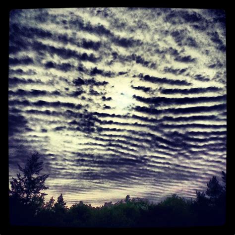 Altocumulus Mackerel Sky or Buttermilk Sky.. (With images) | Sky ...