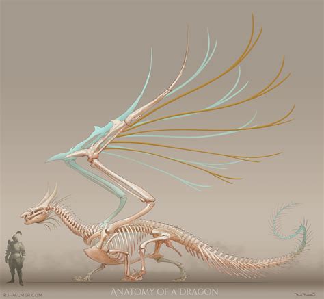 RJ Palmer - Anatomy of a Dragon