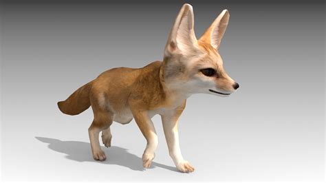 Fennec in Characters - UE Marketplace