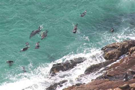 Robberg Nature Reserve And Marine Protected Area Hiking