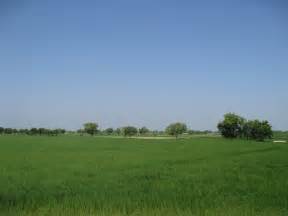 File:Hasilpur Agriculture Land.jpg - Wikipedia, the free encyclopedia