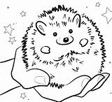 Cute Hedgehog Coloring Pages At GetDrawings  Free Download sketch template