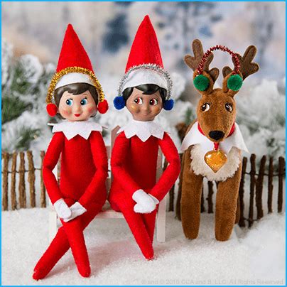 Cute Ideas for Scout Elves and Elf Pets® Reindeer | The Elf on the Shelf