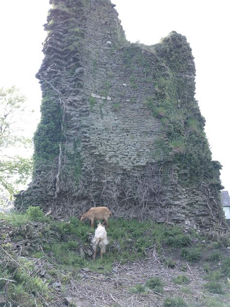 Llantrisant Castle | Welsh castles, Welsh ancestry, Castle