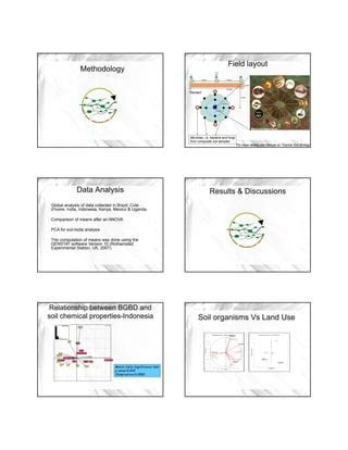 PK06:Distribution of Soil Organisms in Diverse Tropical Ecosystems: The Impact of Land Use on ...