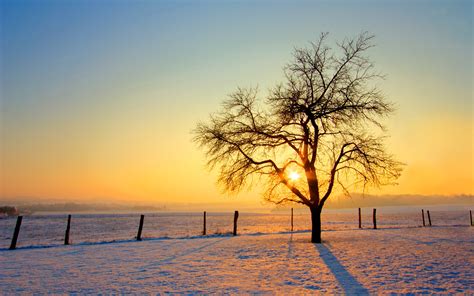 New Zealand Scenery Wallpaper - WallpaperSafari