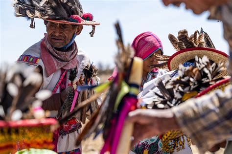 Inside a Peyote Pilgrimage - The New York Times