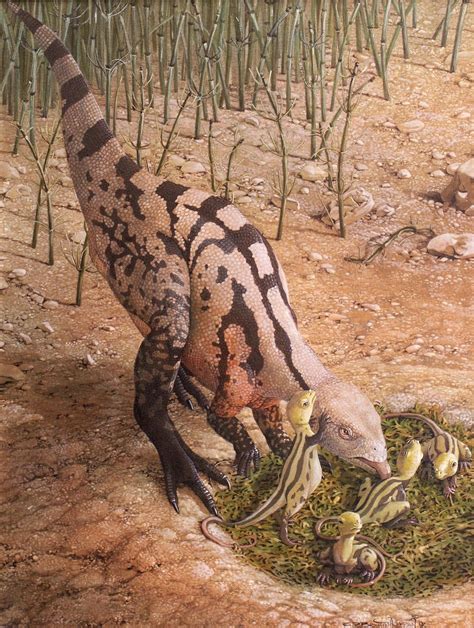 Dryosaurus, so cute! An ornithopod dinosaur in the iguanodont family, it was first discovered in ...