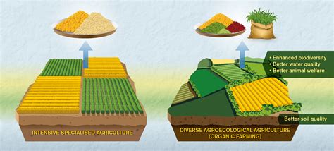 Organic Farming Methods