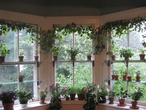 Pin by Dossie Glasier on Home ideas | Garden windows, Window plants, Houseplants