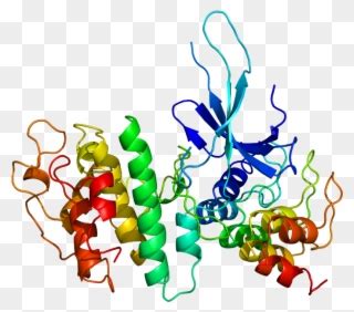 Cyclin Dependent Kinase Structure Clipart (#2005033) - PinClipart