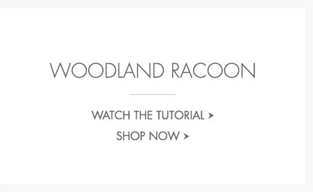 Download Woodland Raccoon Woodland Raccoon - Pottery Barn Kids Inc PNG ...