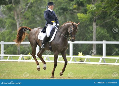 Equestrian Dressage editorial photography. Image of horseback - 14359352