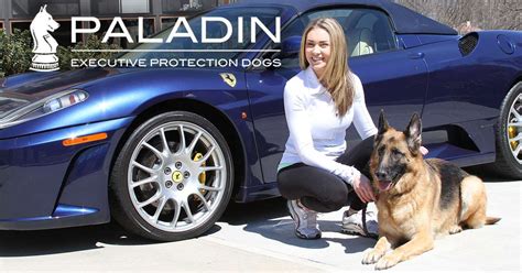 Executive Protection Dogs | Paladin Executive Protection Dogs