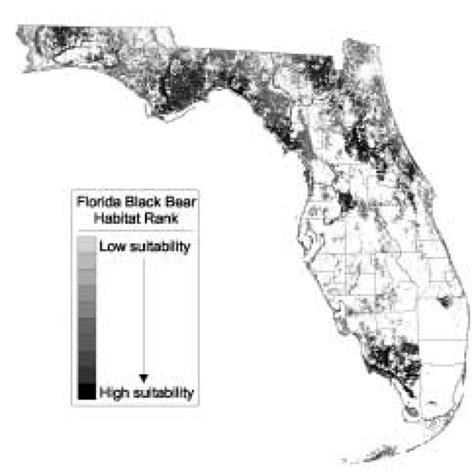 Florida black bear habitat ranked according to habitat preference ...