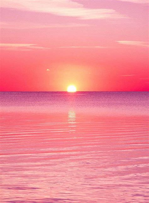 Beach Aesthetic Landscape Pastel Pink Beach - THE POOH WALL, Ombre ...