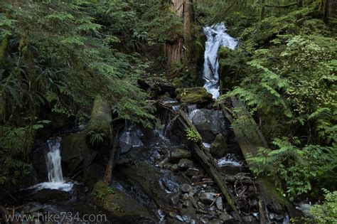 North Fork Quinault River - Hike 734