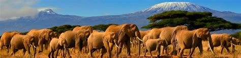 KENYA LUXURY TRAVEL: Tours,Vacations,Holidays,Trips,Travel Guid