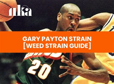 Gary Payton Strain Information: Cannabis Guide