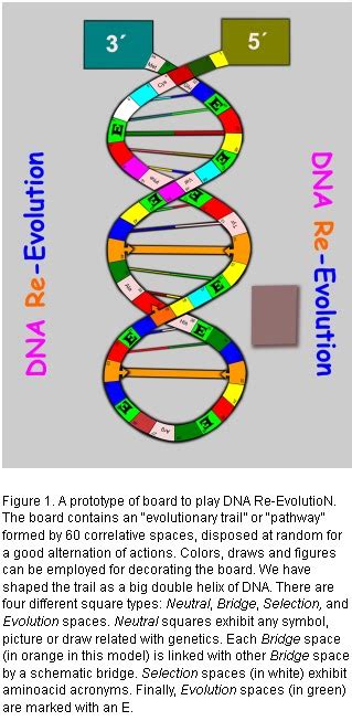 Sandwalk: A DNA evolution game for university students?