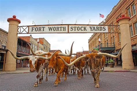 Fort Worth: Where The West (and Best) Begin | Neora Get Real Conference