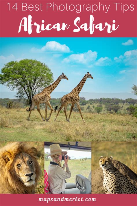 14 Outstanding African Safari Photography Tips - Maps & Merlot