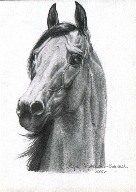 Realistic Sketch Horse Head Drawing : The 25+ Best Horse Head Drawing Ideas On Pinterest ...