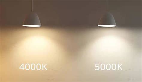 4000K vs 5000K, ¿Cómo elegir? - Iluminación esencial