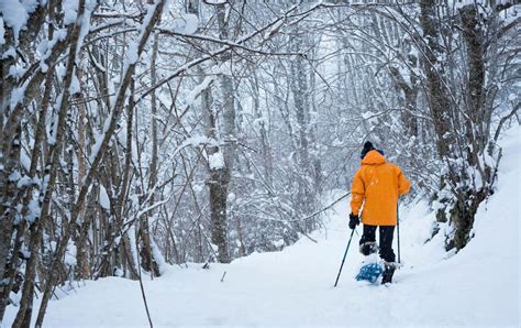 Winter in Lake George: 16 Amazing Lake George Winter Activities