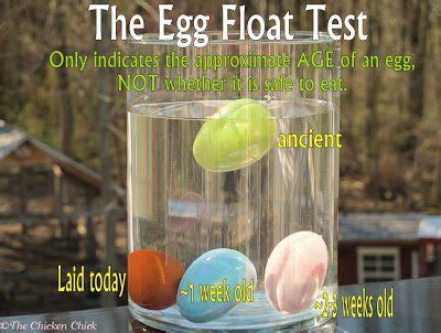 Egg Float Test- Indicates Approximate Age, NOT Egg Safety