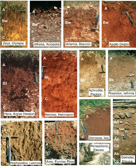 Colour photographs of examples of soil profiles at temples of ancient... | Download Scientific ...