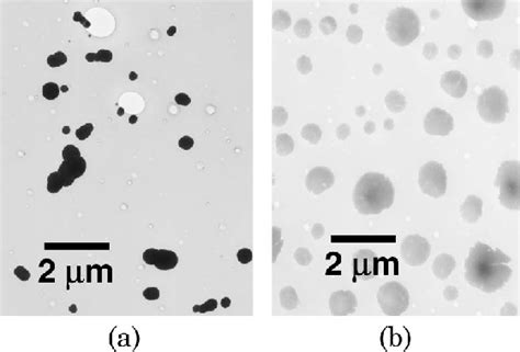 Electron micrographs of ammonium sulfate (a) crystals and (b) droplets ...