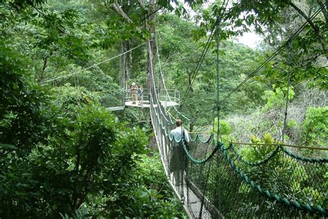 Hike in the Iwokrama Rainforest - Guyana - Journey Latin America