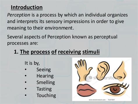 Perceptual process