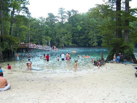 Morrison Springs (Florida, United States): Address, Cavern & Cave Reviews - TripAdvisor