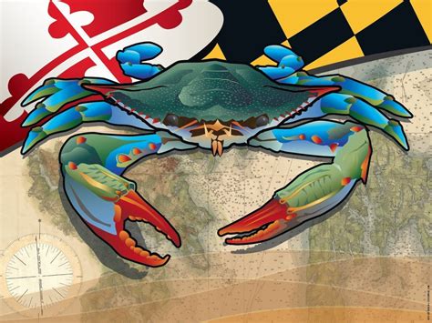 Maryland Blue Crab Art Print by Joe Barsin, 16x12