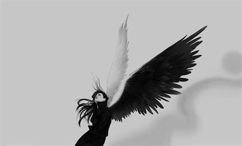 drawing, white, black, illustration, monochrome, branch, raven, bird of prey, eagle, Gladius ...