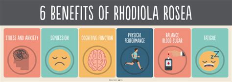 6 Rhodiola Rosea Benefits: What It Is and How to Use It - Perfect Keto