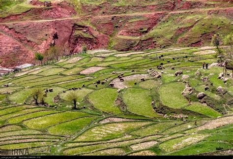 Iran’s Beauties in Photos: Spring in Western Areas